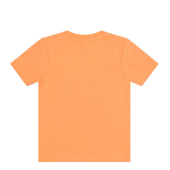 regeling Birma Abnormaal flinq 2611606 Z70283 Baby jongens T-shirt km Oranje bestel je online bij  www.bertusmode.nl/
